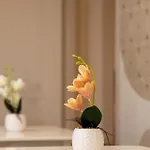 Penzion Homea 4*